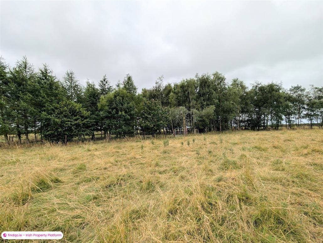 Detached house for Sale in Borrisokane, Tipperary
