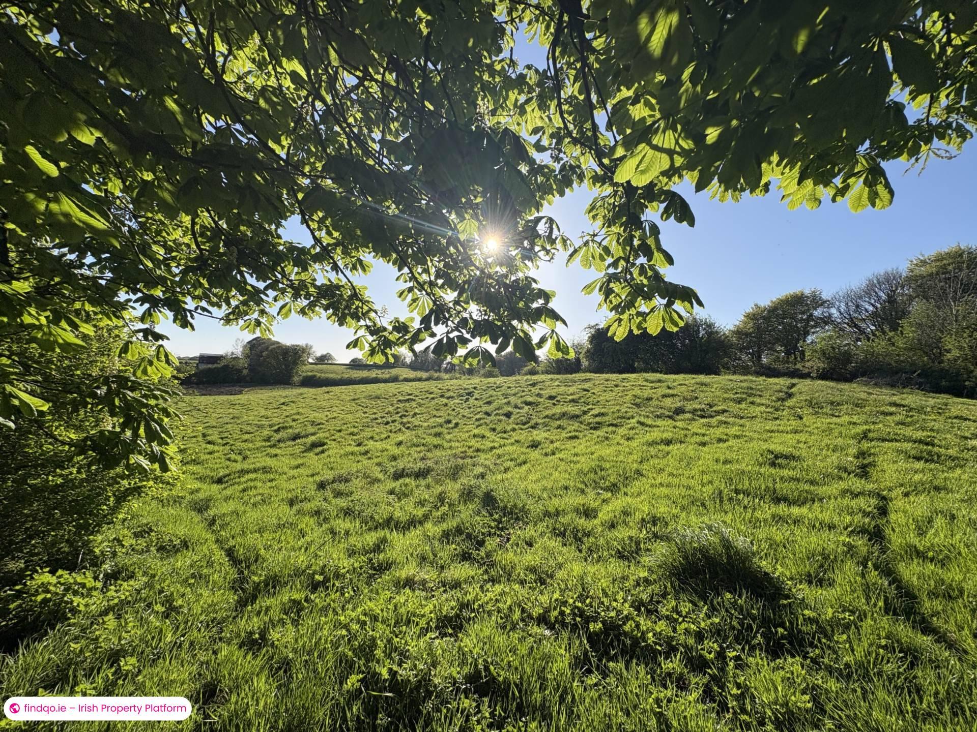 Detached house for Sale in Oldcastle, Cavan
