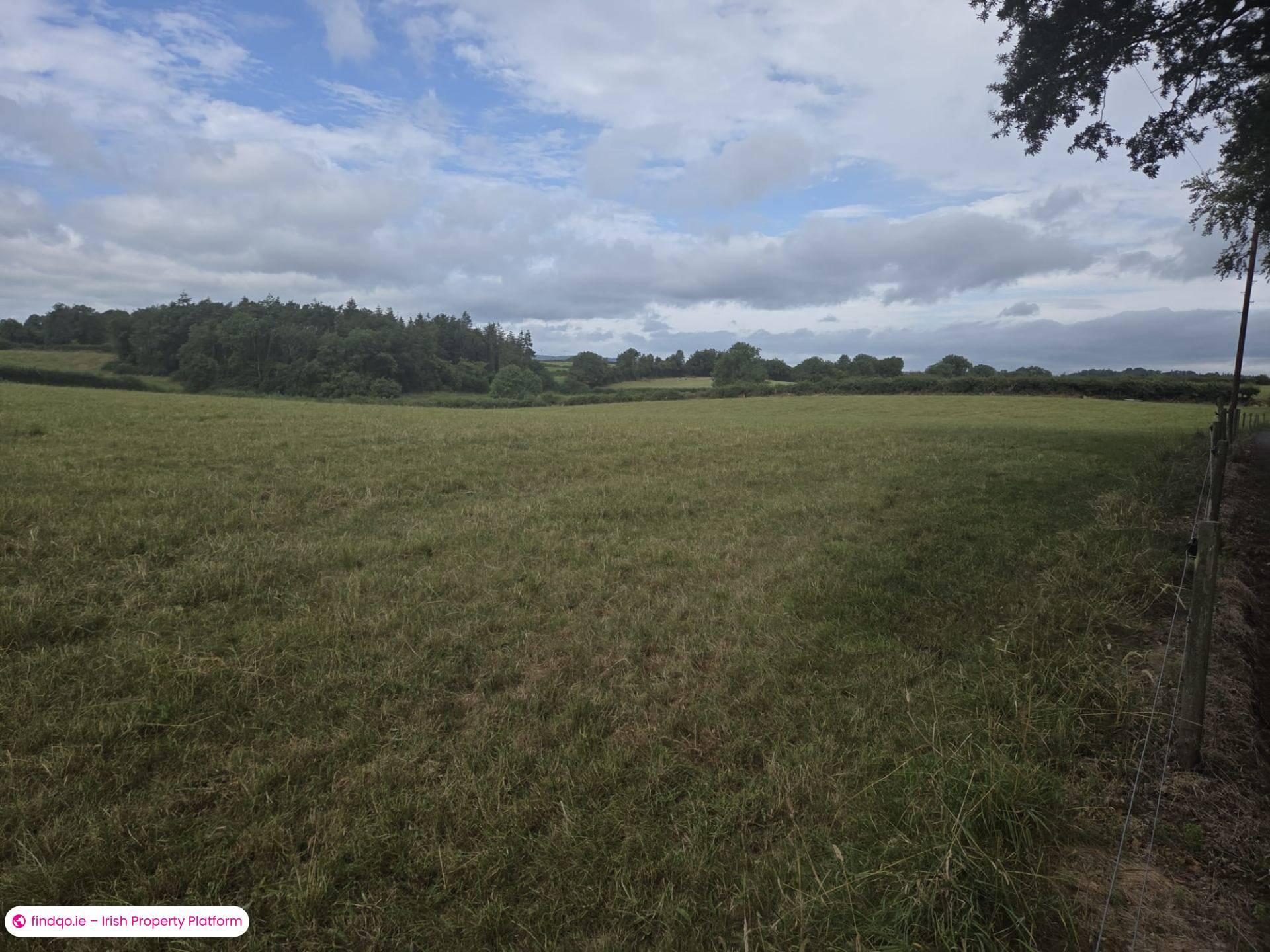 House for Sale in Carrickmacross, Monaghan