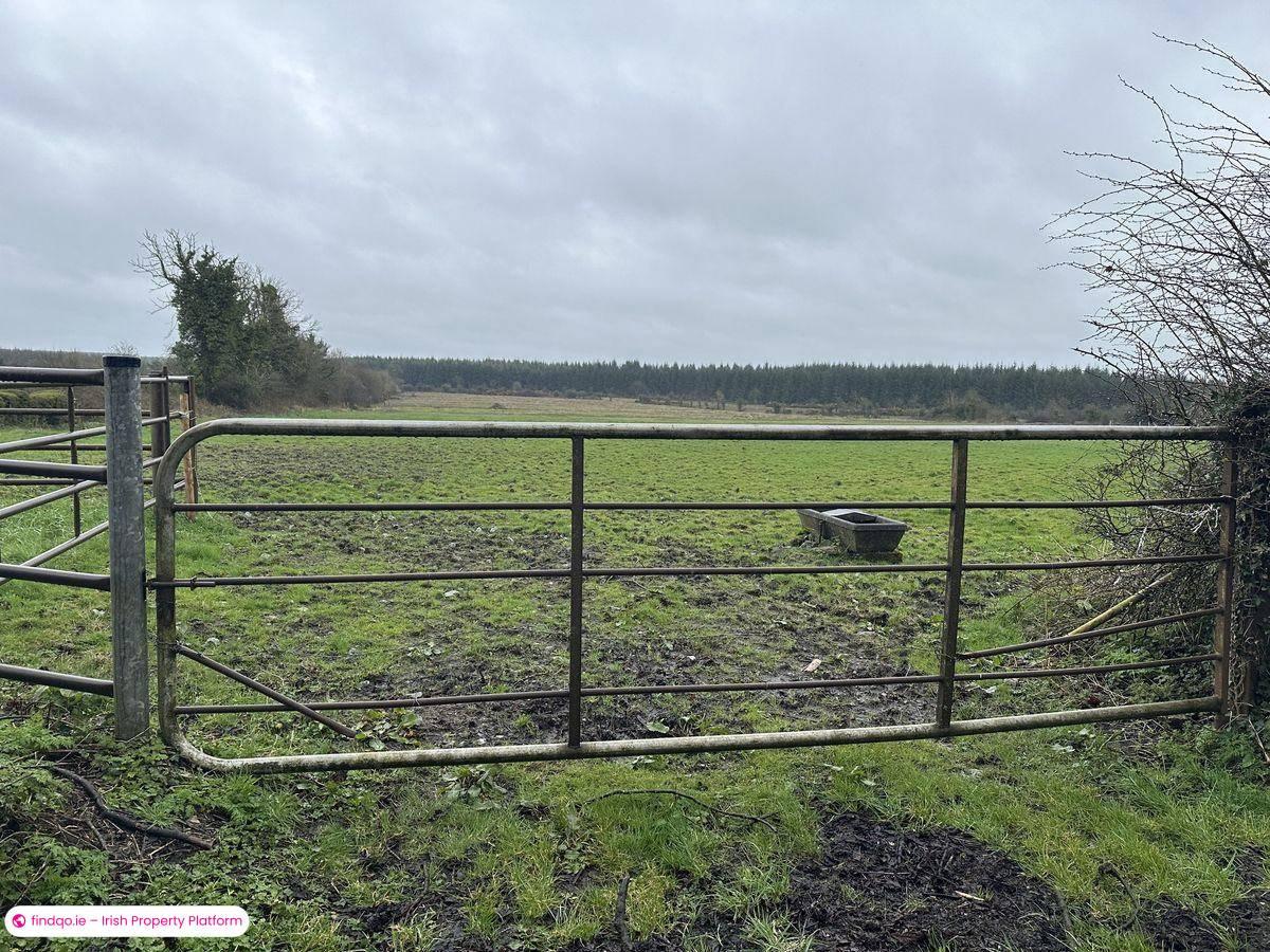 Agricultural Land for Sale in Moydow, Longford