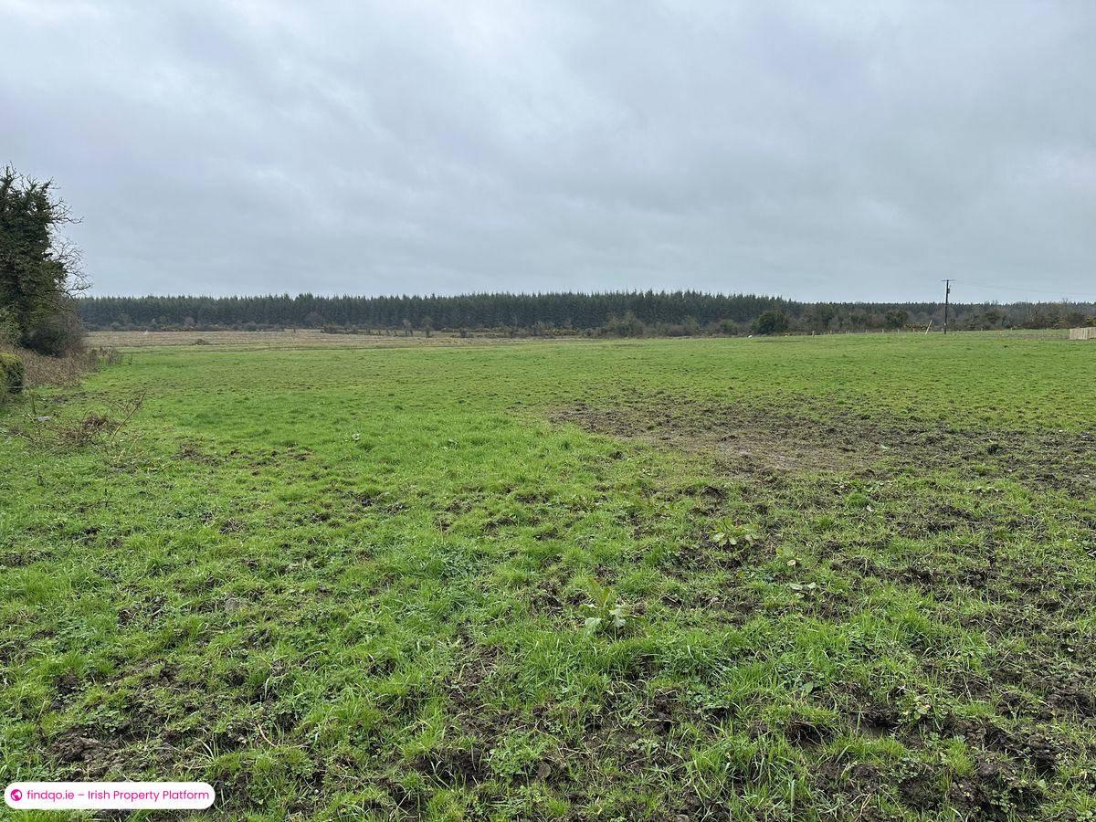 Agricultural Land for Sale in Moydow, Longford