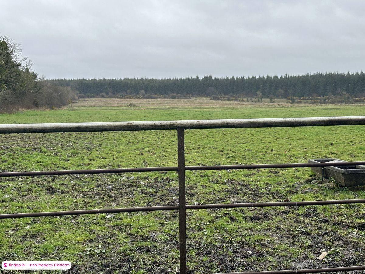 Agricultural Land for Sale in Moydow, Longford