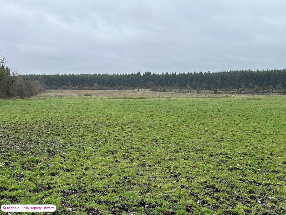 Agricultural Land for Sale in Moydow, Longford