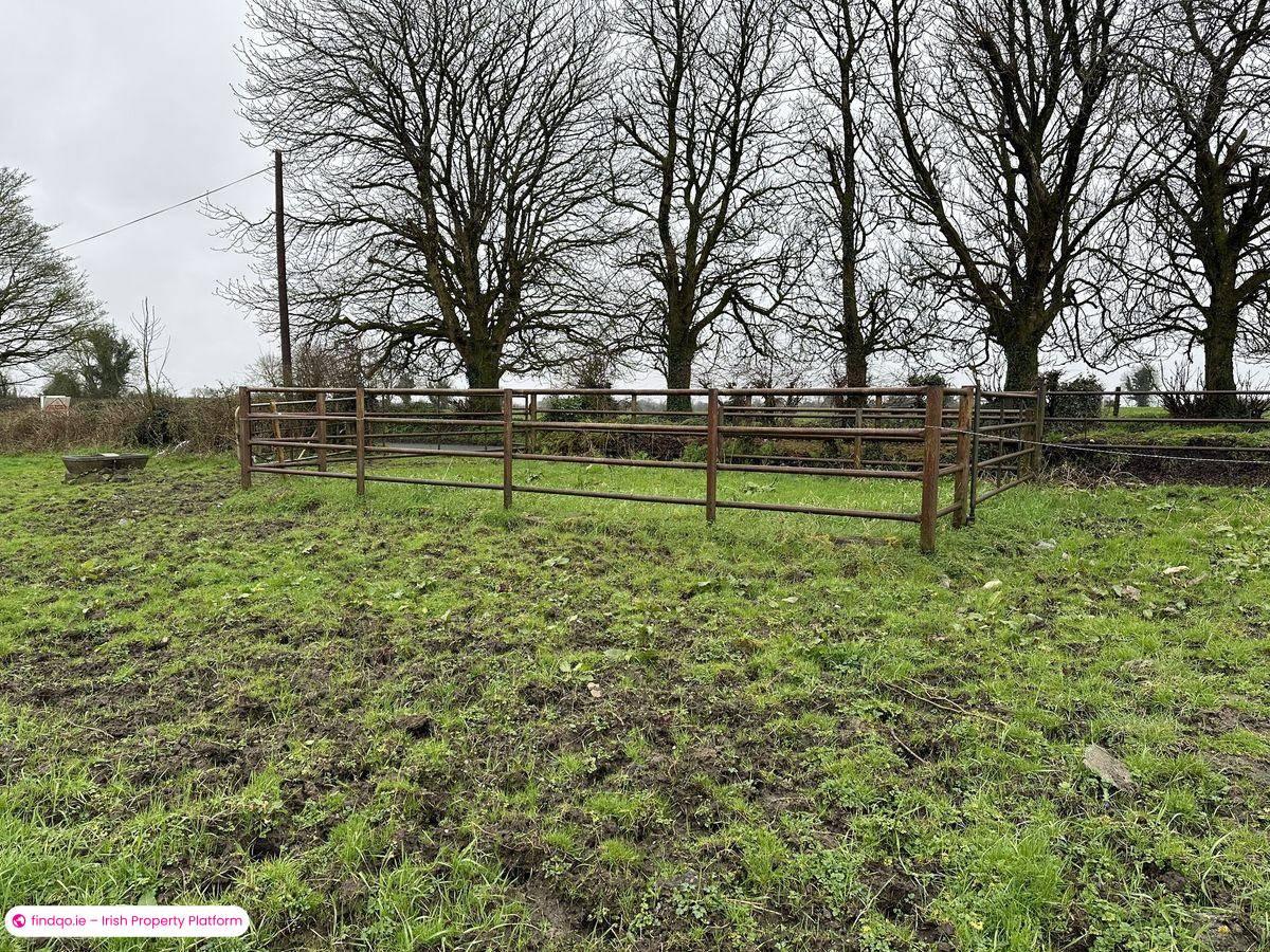 Agricultural Land for Sale in Moydow, Longford