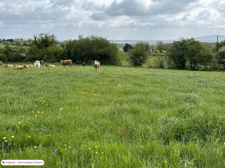 Development Land for Sale in Granard, Longford