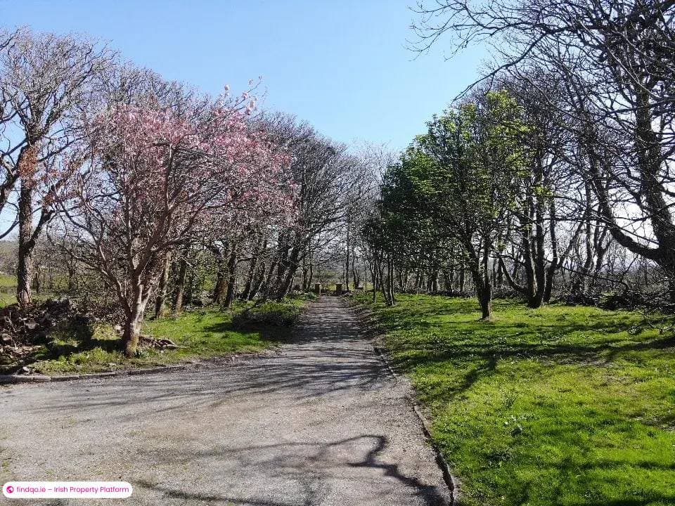 House for Sale in Skibbereen, Cork