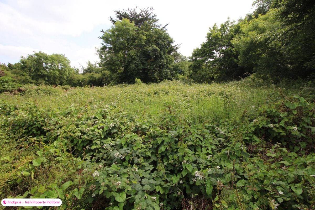 Detached house for Sale in Dublin Road, Longford, N39 K2W4