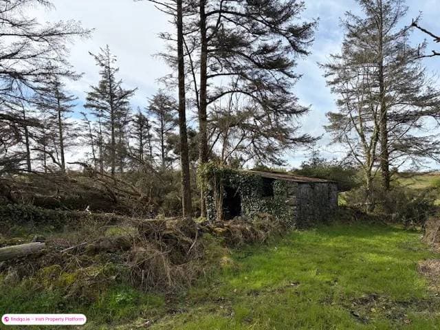 Detached house for Sale in Kilshanny, Clare