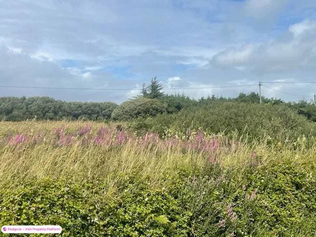 Site for Sale in Ennis, Clare