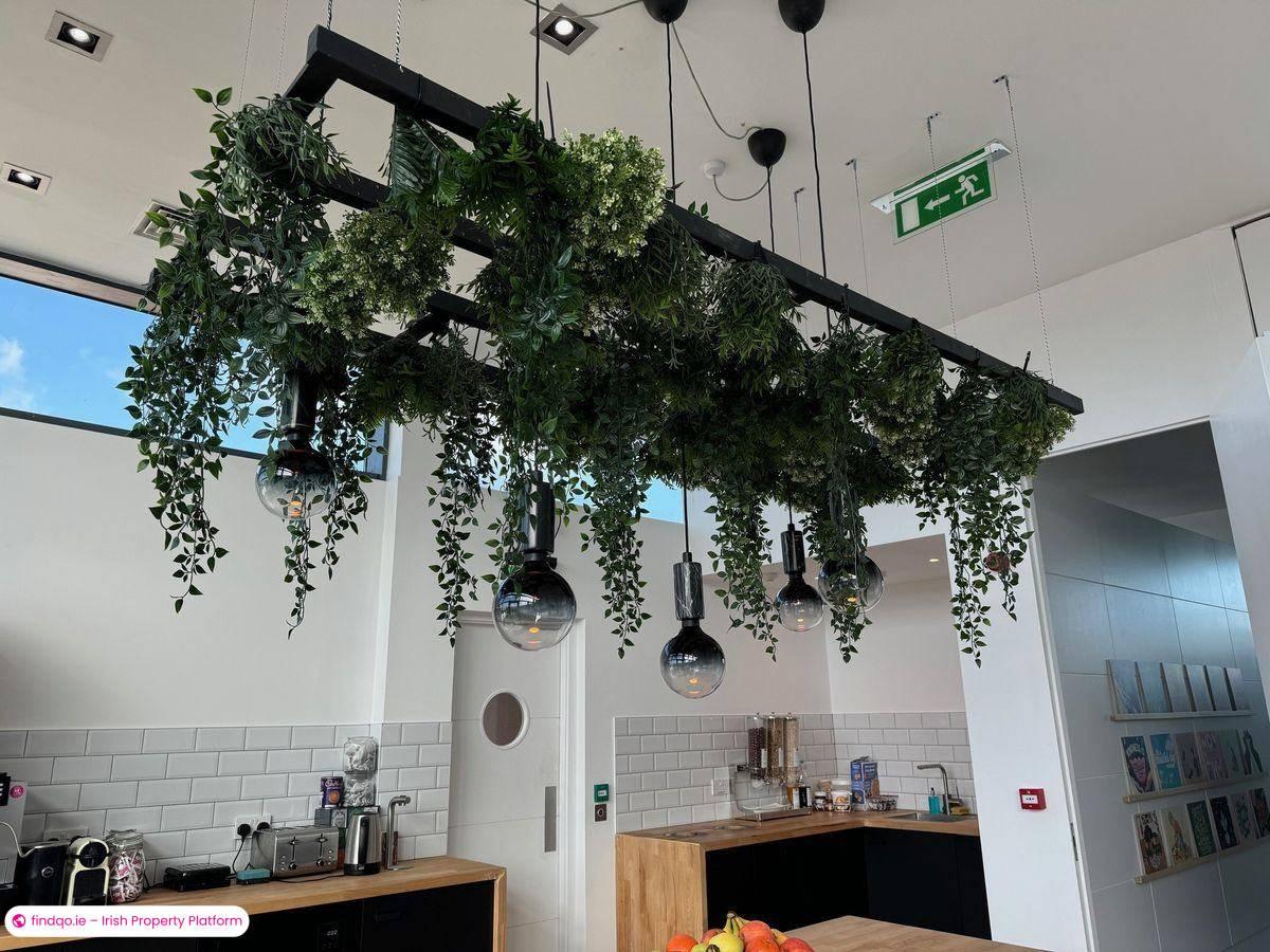 Office Space for Rent in Dublin 2