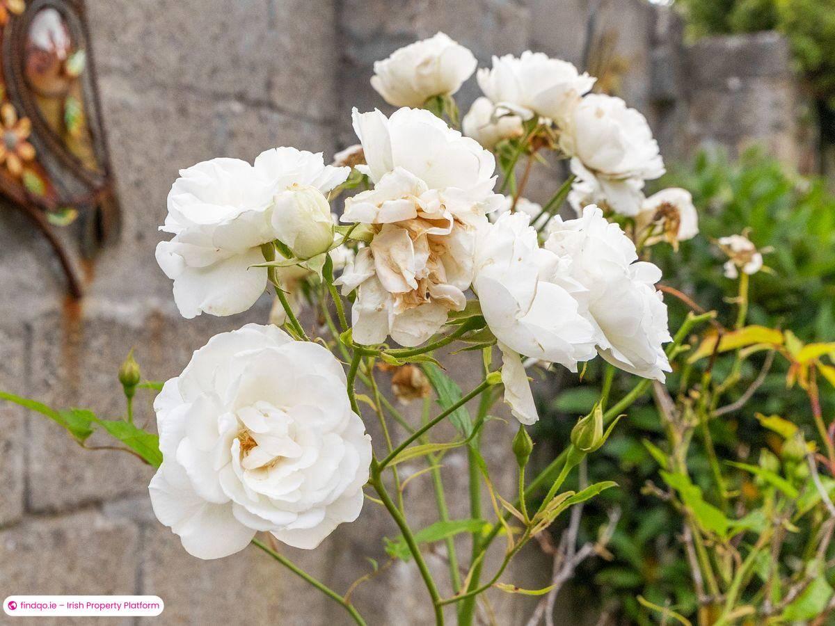 Semi-detached house for Sale in Dublin 24