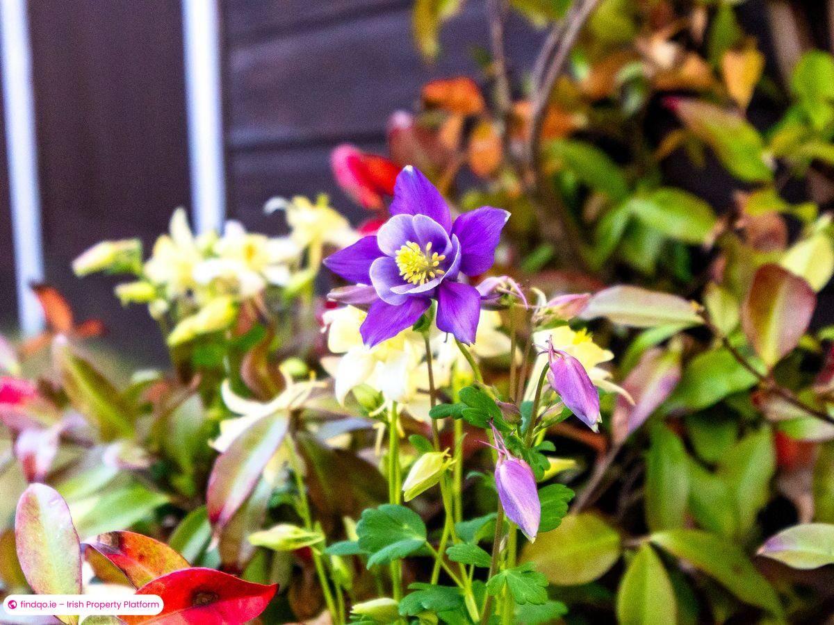 End of terrace house for Sale in Newbridge, Kildare