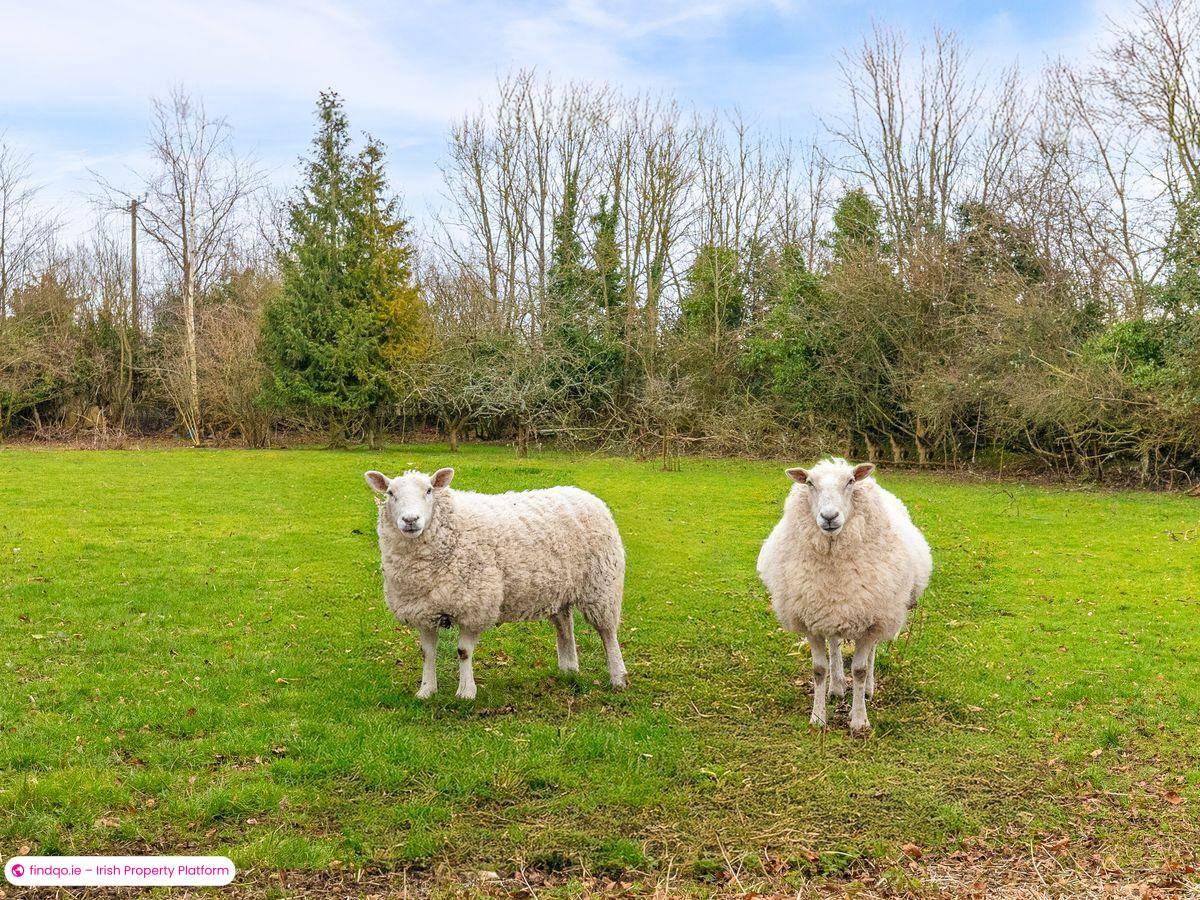Detached house for Sale in Tullamore, Offaly