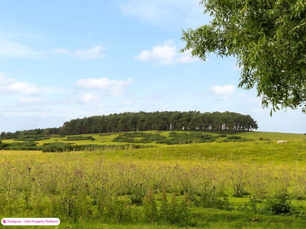 Detached house for Sale in Curragh, Co. Kildare, R56 TA44