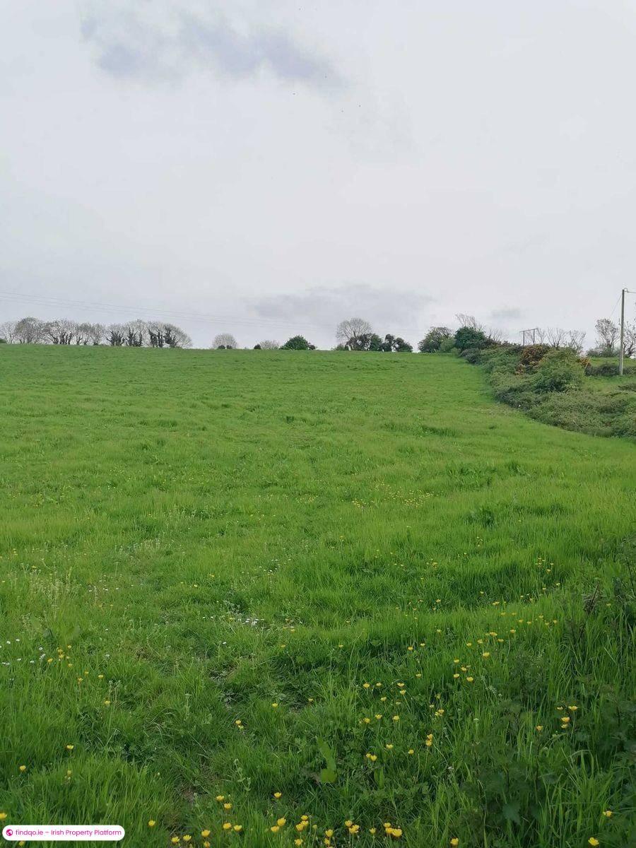 Site for Sale in Kilflynn, Kerry