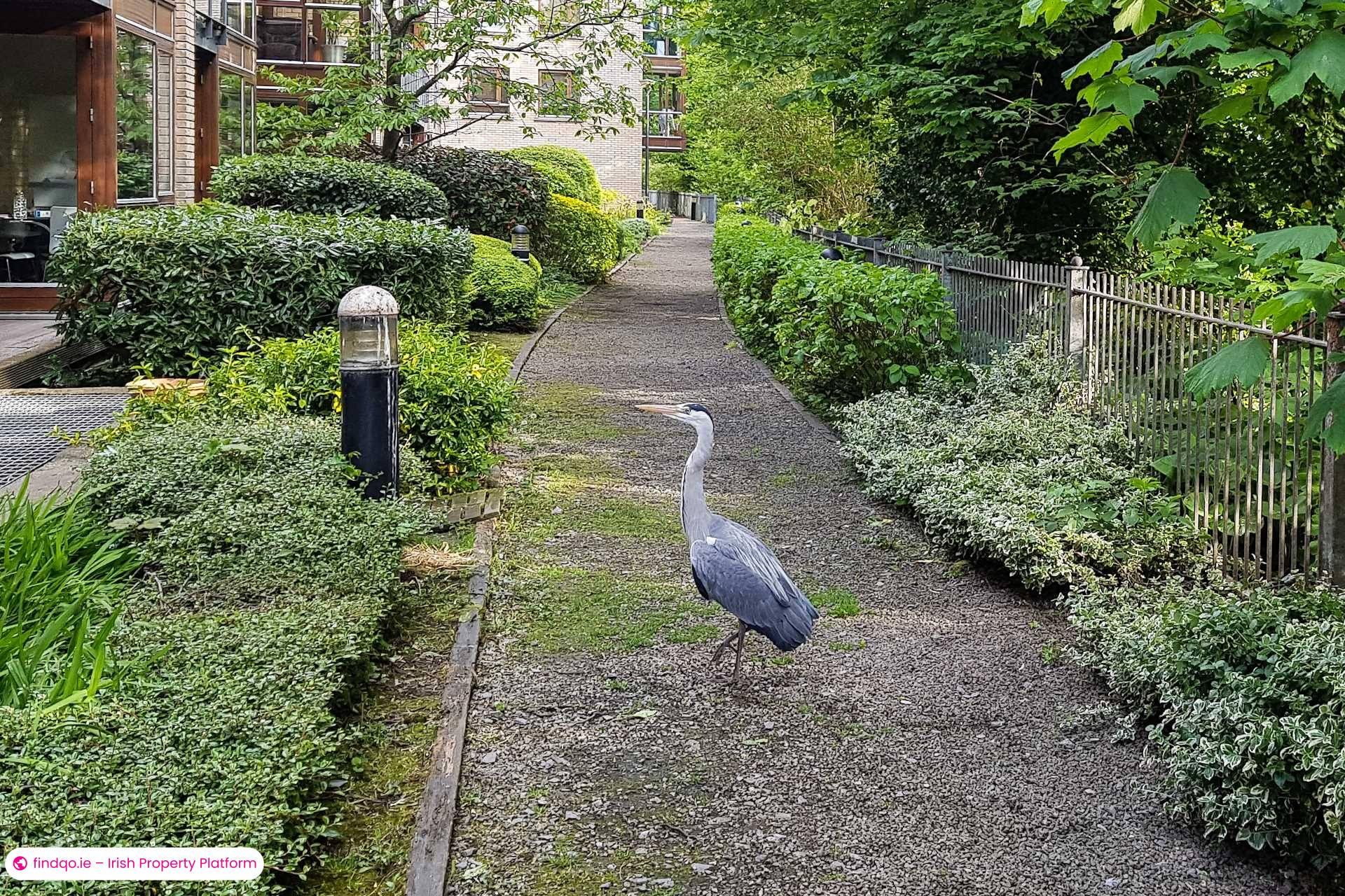 Apartment for Sale in Dublin 20