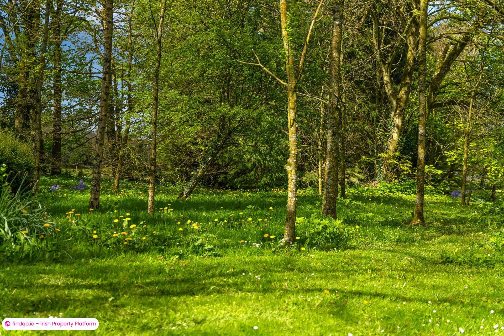 Detached house for Sale in Moneygall, Offaly