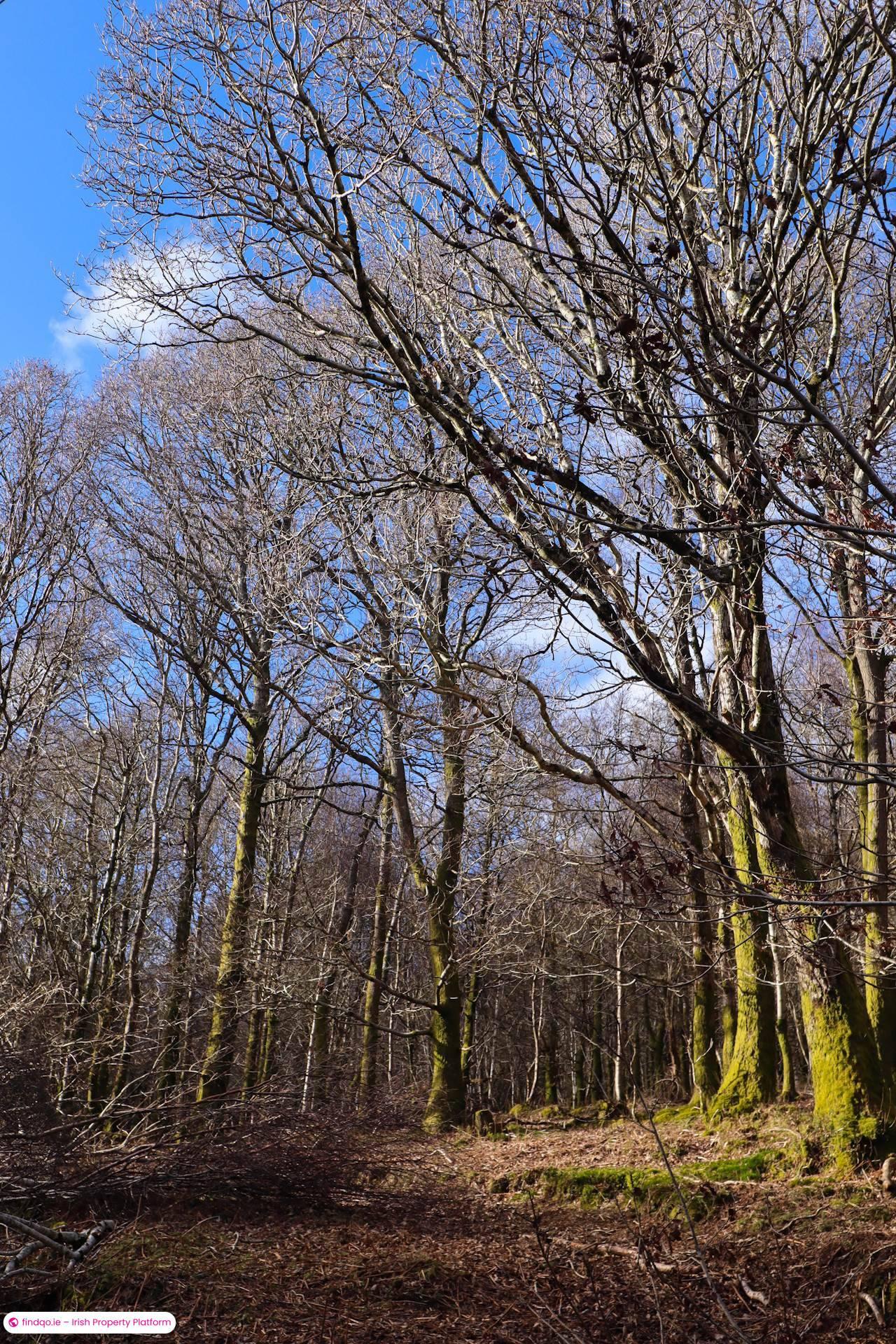 Detached house for Sale in Roundwood, Wicklow