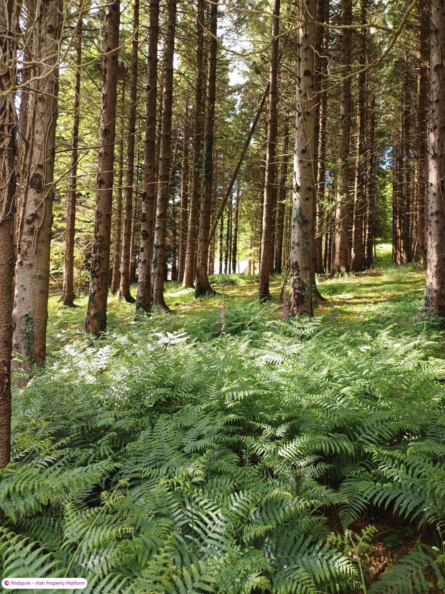 Detached house for Sale in Roundwood, Wicklow