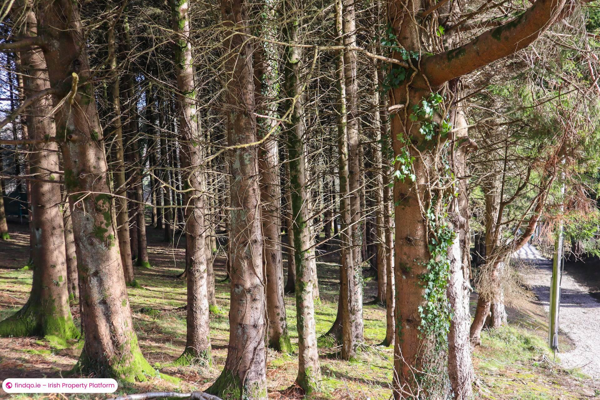 Detached house for Sale in Roundwood, Wicklow