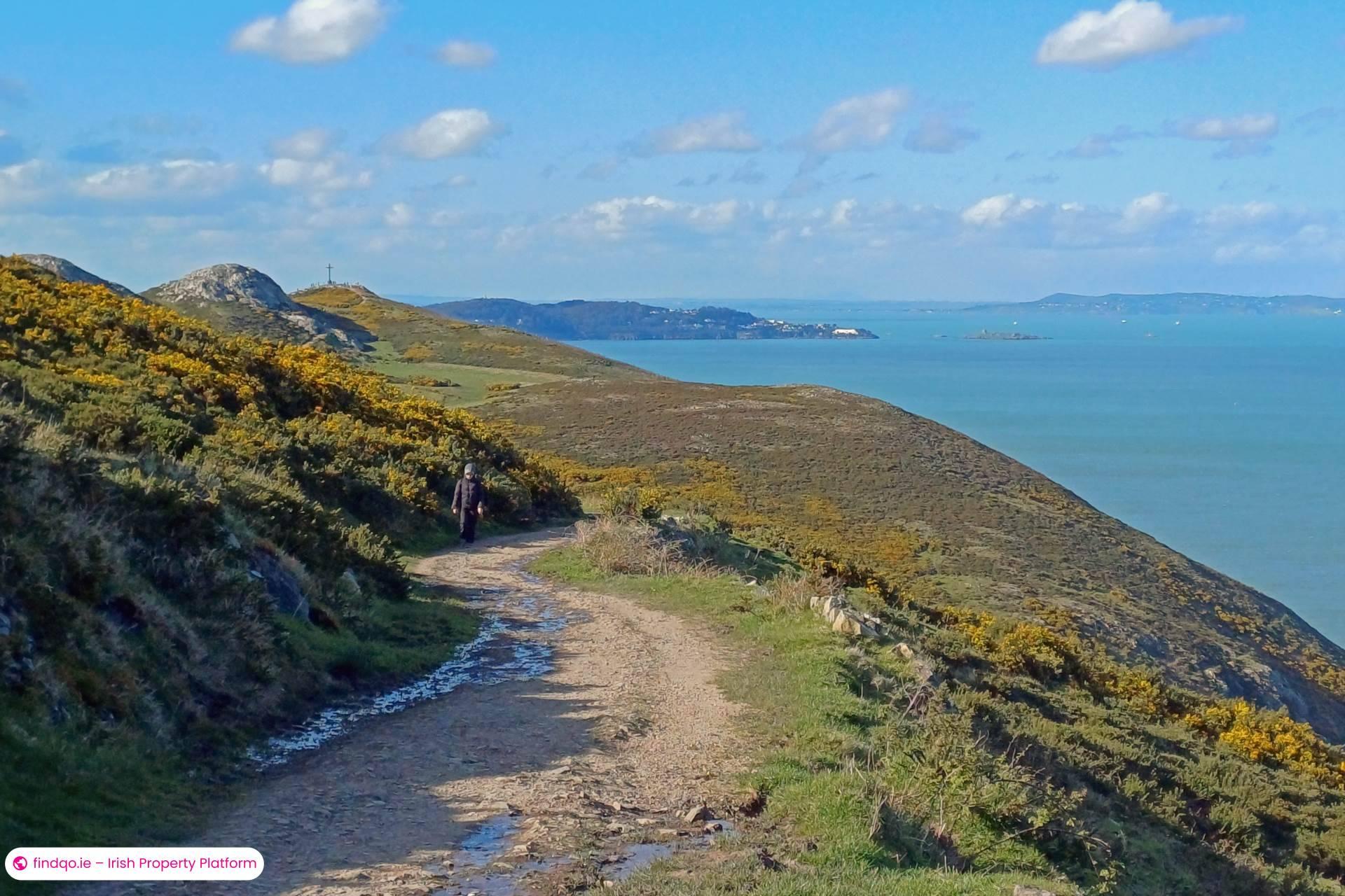 Detached house for Sale in Bray, Wicklow