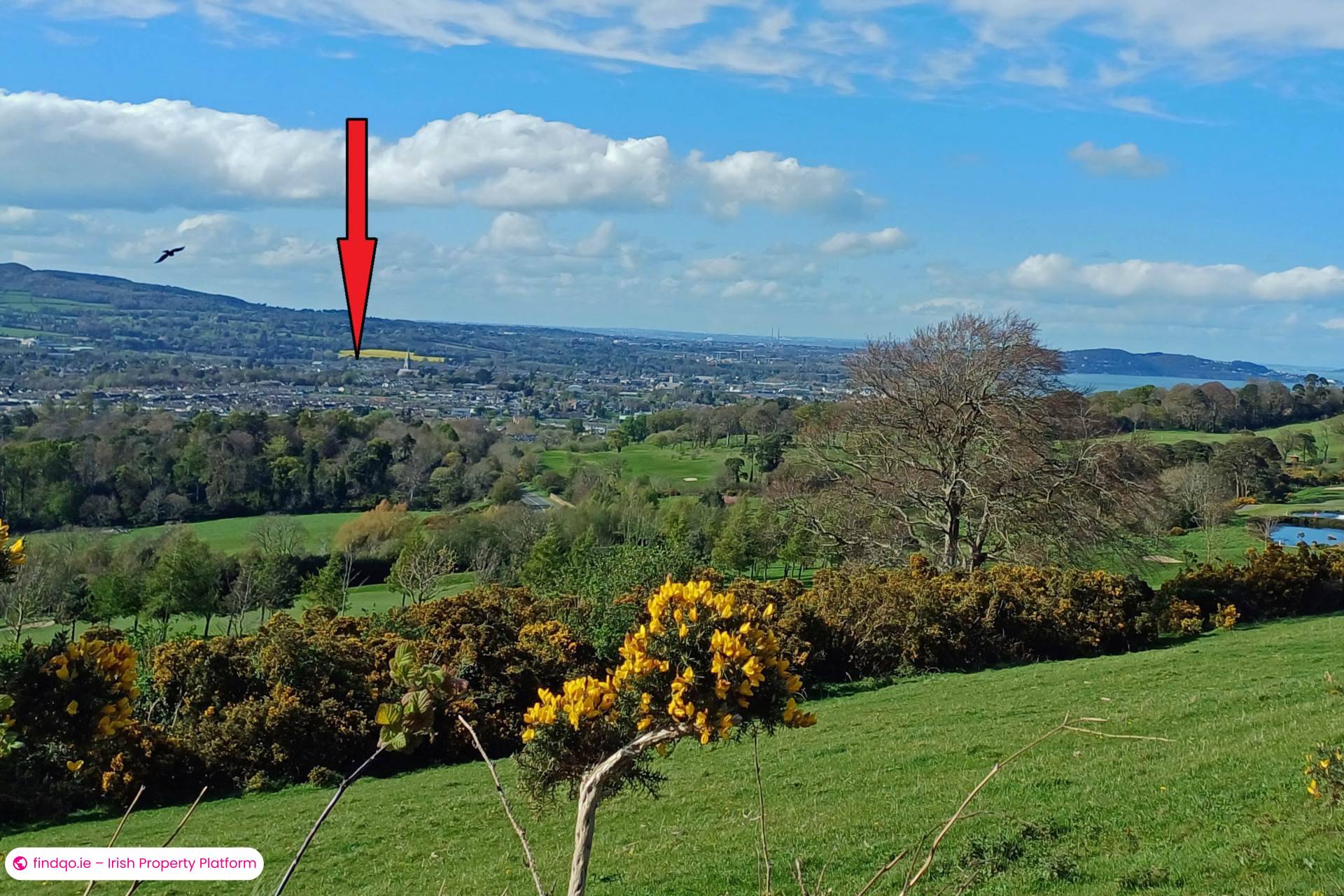 Detached house for Sale in Bray, Wicklow