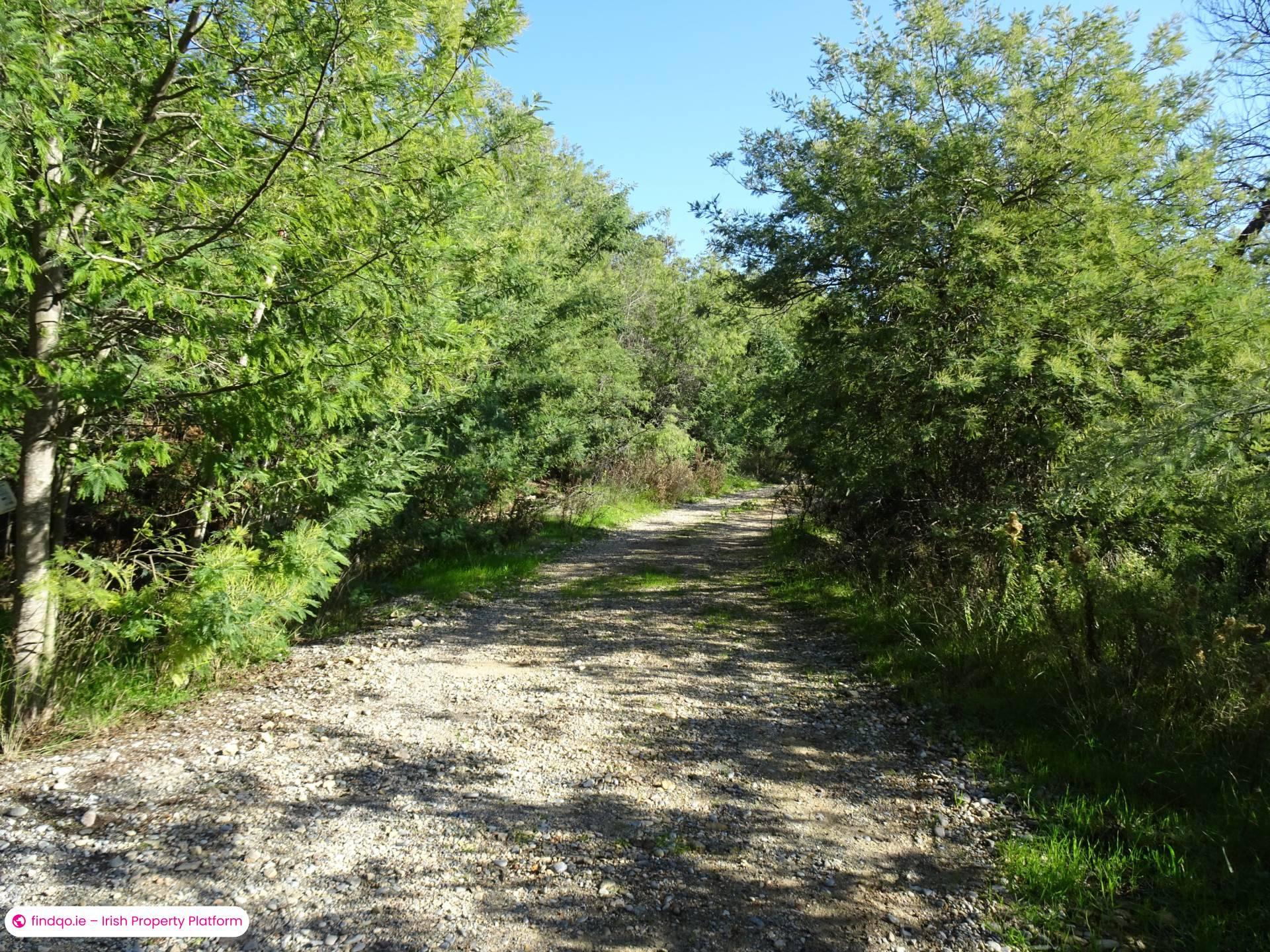 Site for Sale in La Ferme De Cannes, Cannes, France