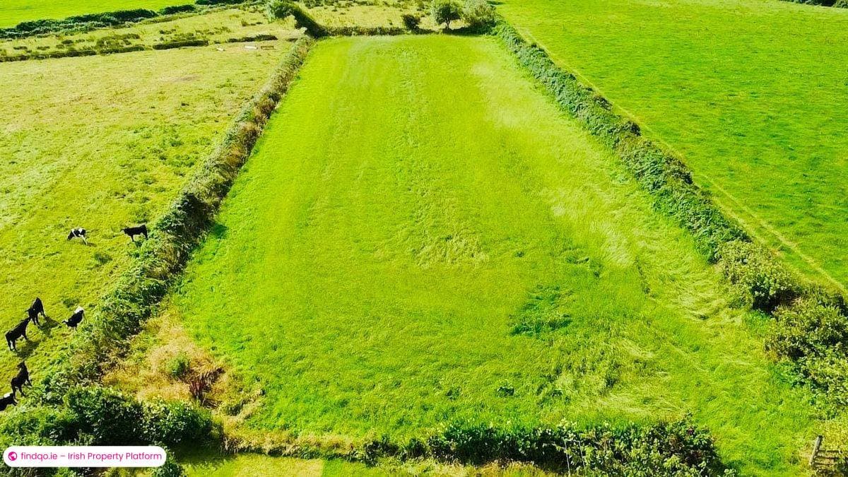 Bungalow for Sale in Tralee, Kerry