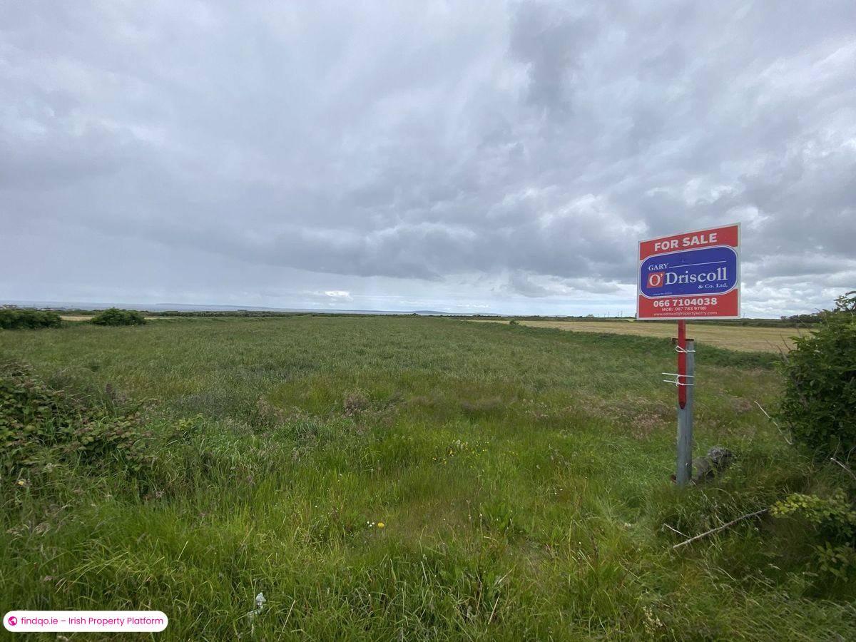 Agricultural Land for Sale in Ballyduff, Kerry