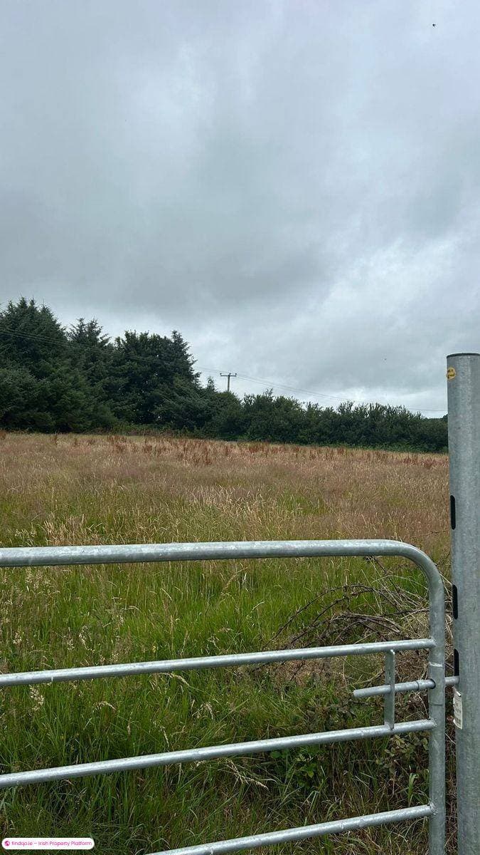 Detached house for Sale in Watergrasshill, Cork, T56 KD92