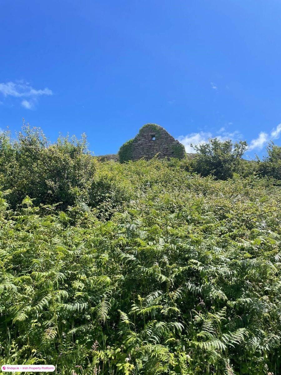 Site for Sale in South Schull, Co. Cork, P81 Y984