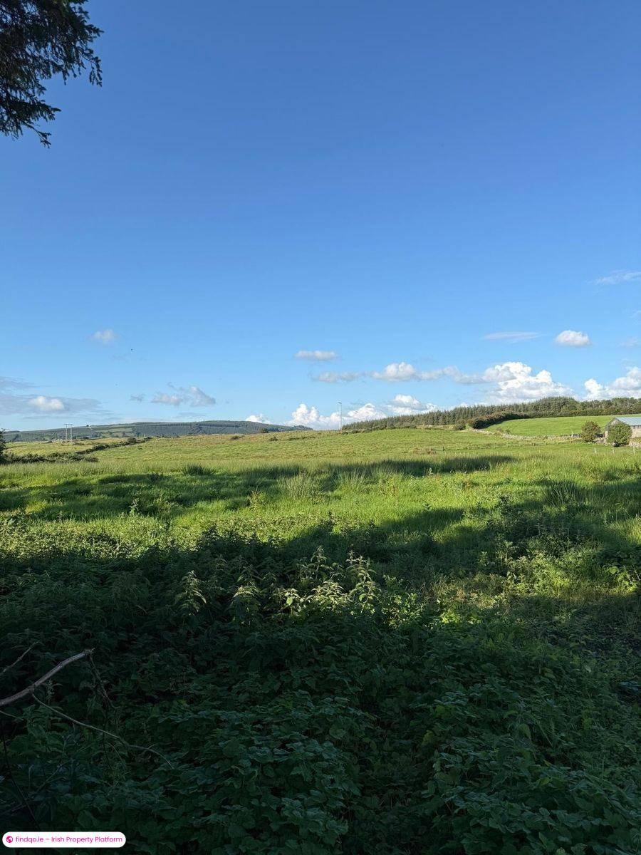 Agricultural Land for Sale in Castlebar, Mayo