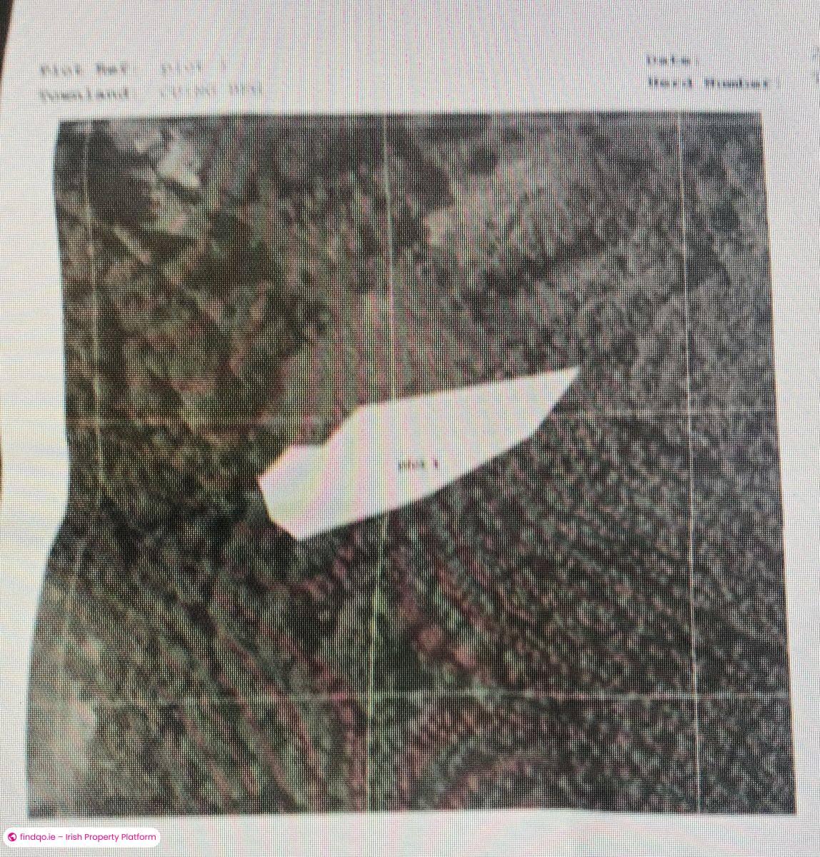 Development Land for Sale in Pontoon, Mayo