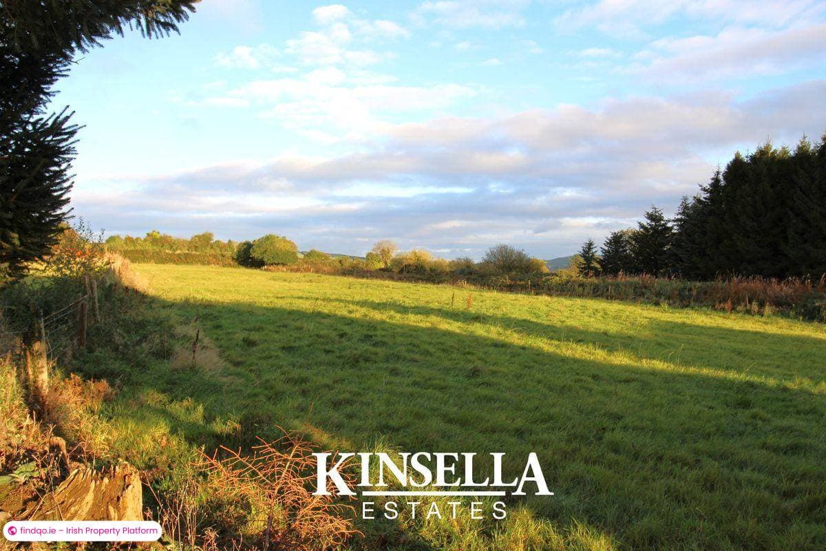 Site for Sale in Carnew, Wicklow