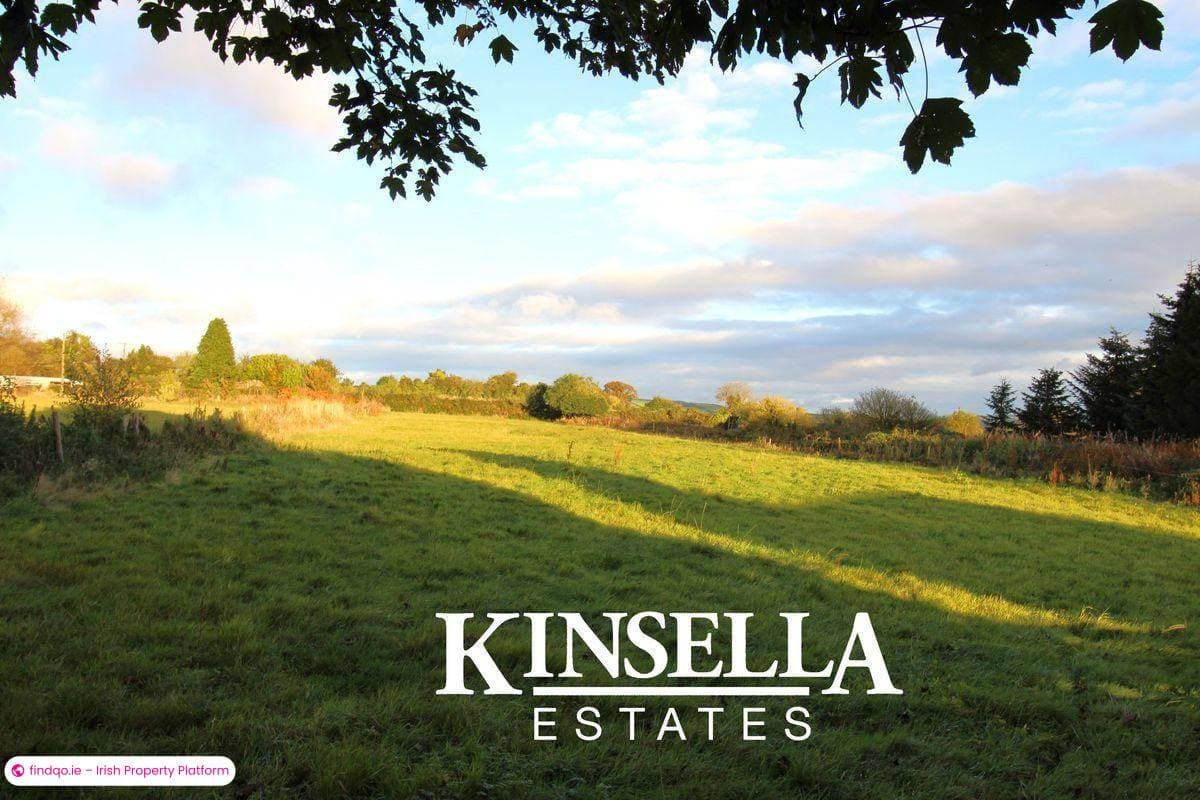 Site for Sale in Carnew, Wicklow