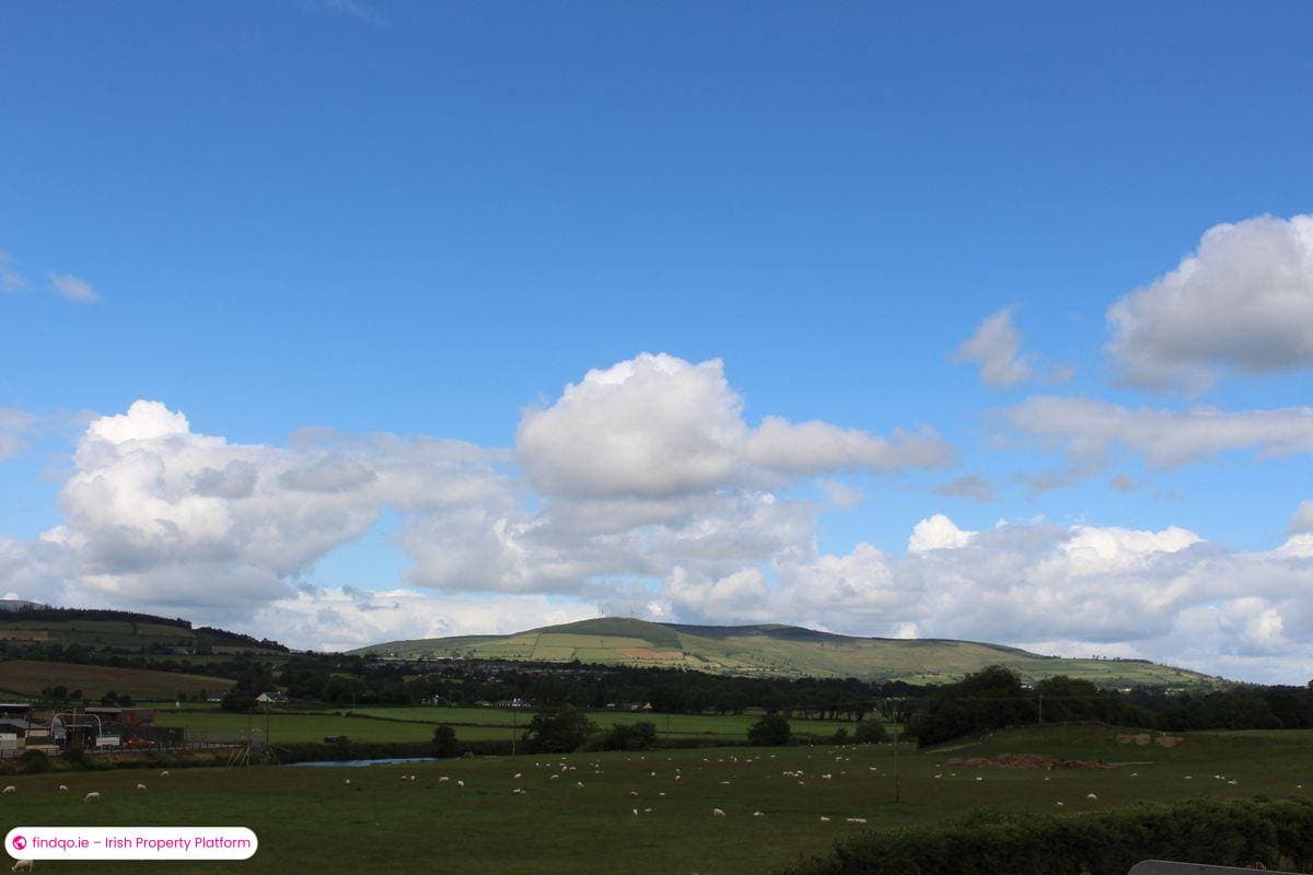 Site for Sale in Enniscorthy, Wexford