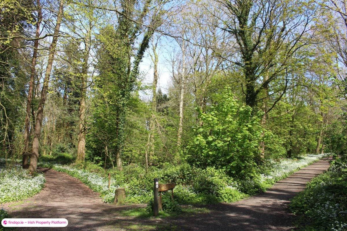 Apartment for Sale in Gorey, Wexford