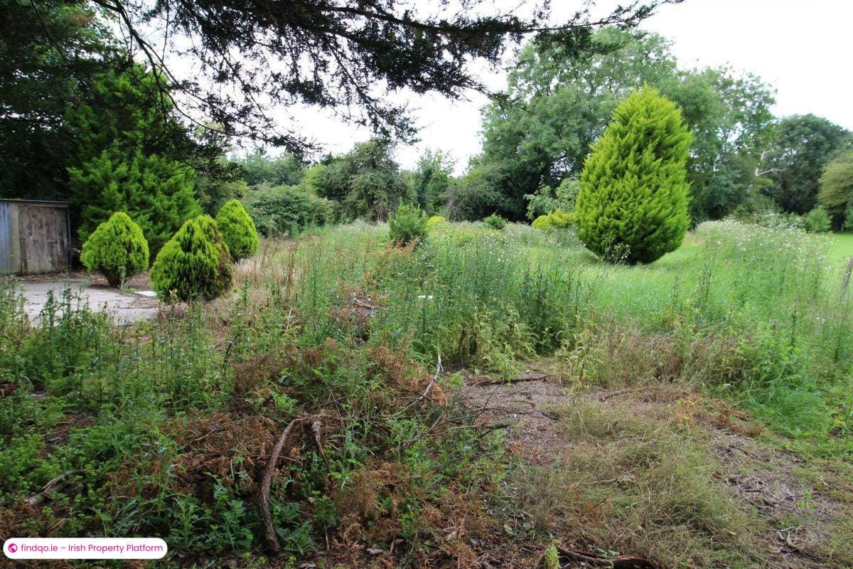 Detached house for Sale in Muine Bheag, Co. Carlow, R21 KV66