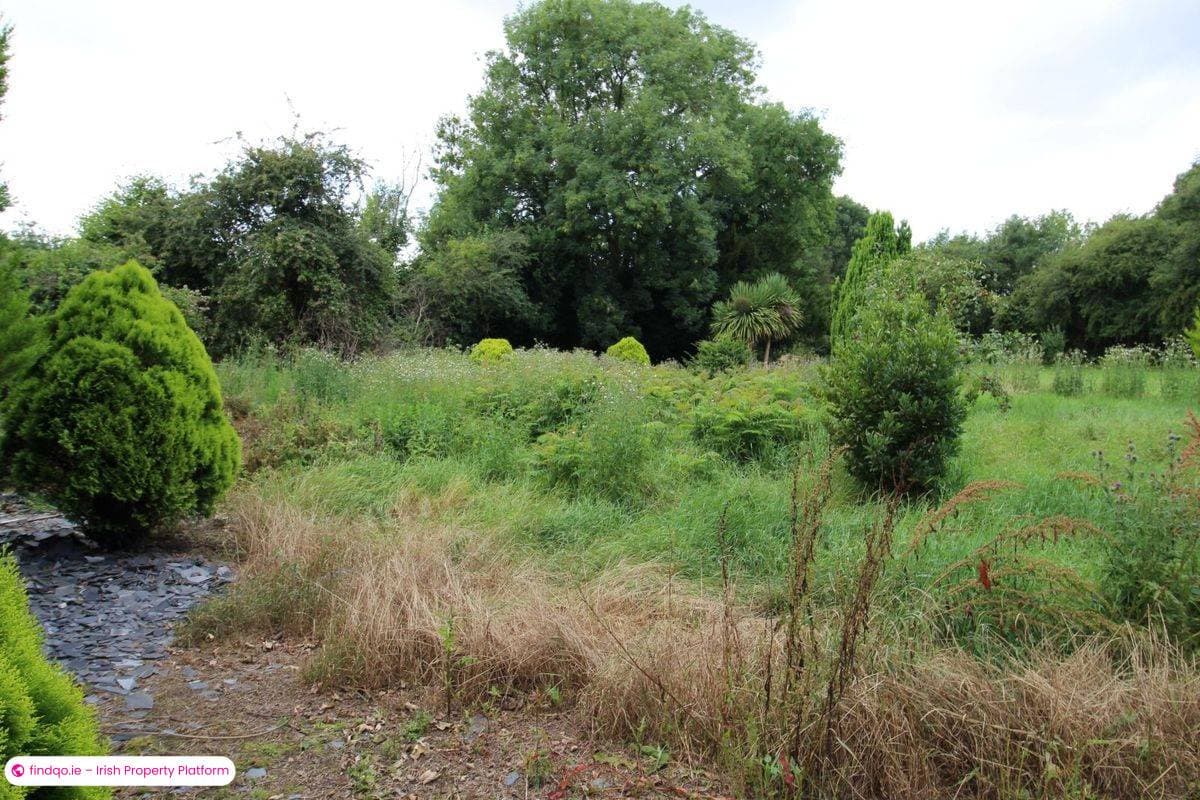 Detached house for Sale in Muine Bheag, Co. Carlow, R21 KV66