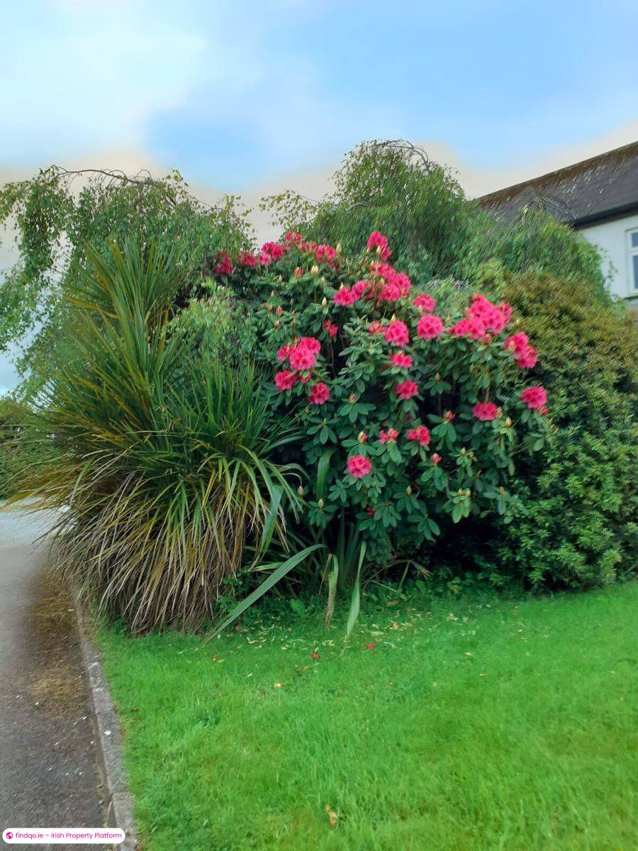 Detached house for Sale in Ballinhassig, Cork, T12 RDH0