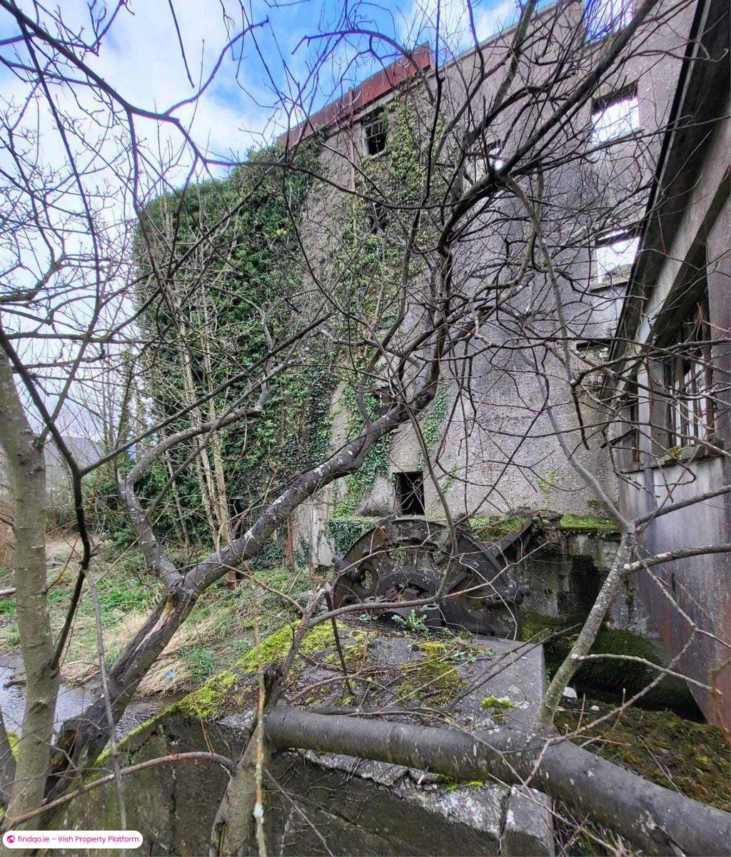Commercial Site for Sale in Mallow, Cork