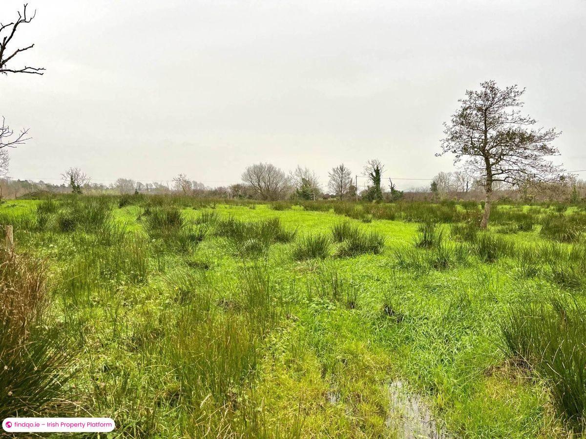 Agricultural Land for Sale in Grange, Sligo