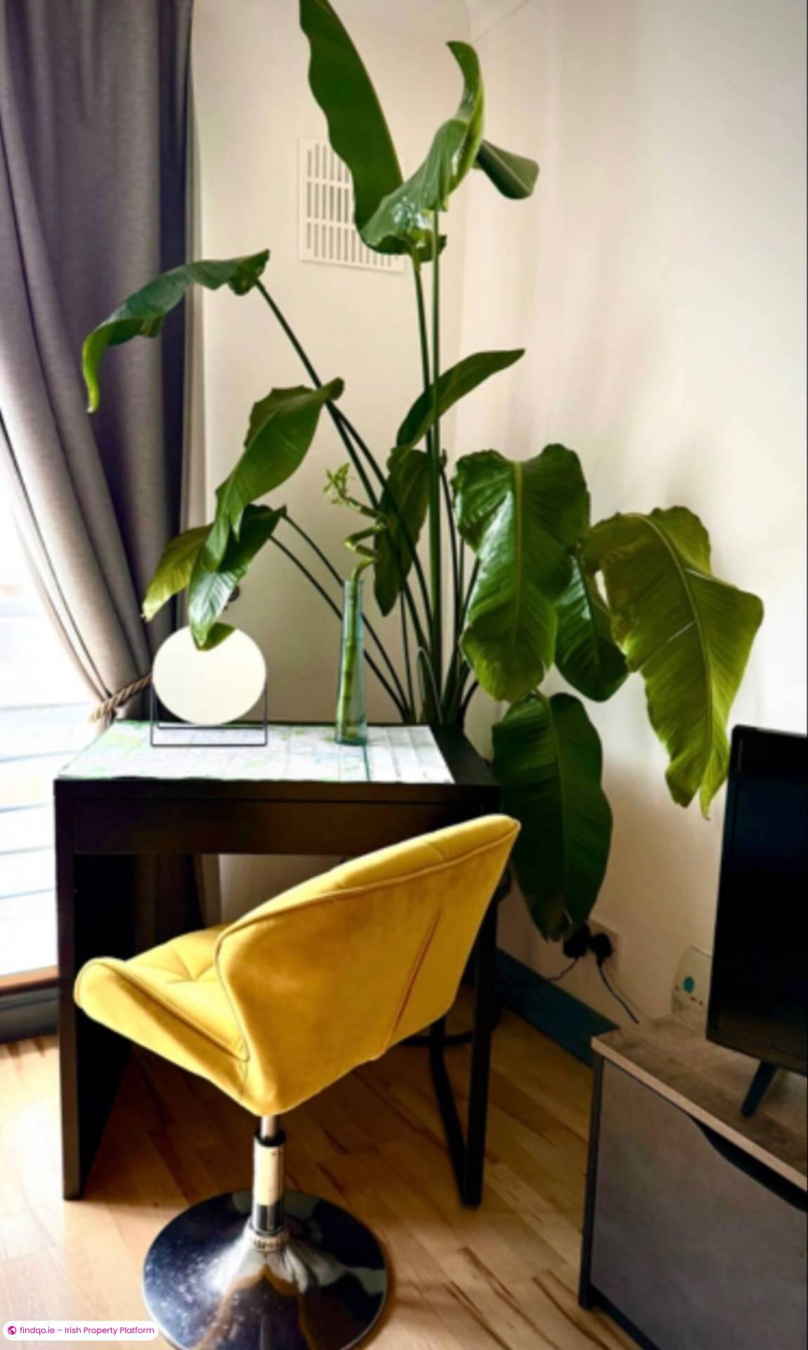 1 Bedroom Apartment for Rent in Dublin 8