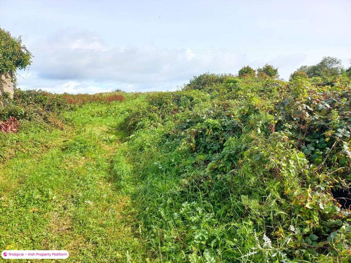 Site for Sale in Kilkelly, Mayo