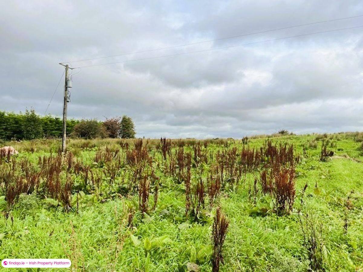 Site for Sale in Kilkelly, Mayo