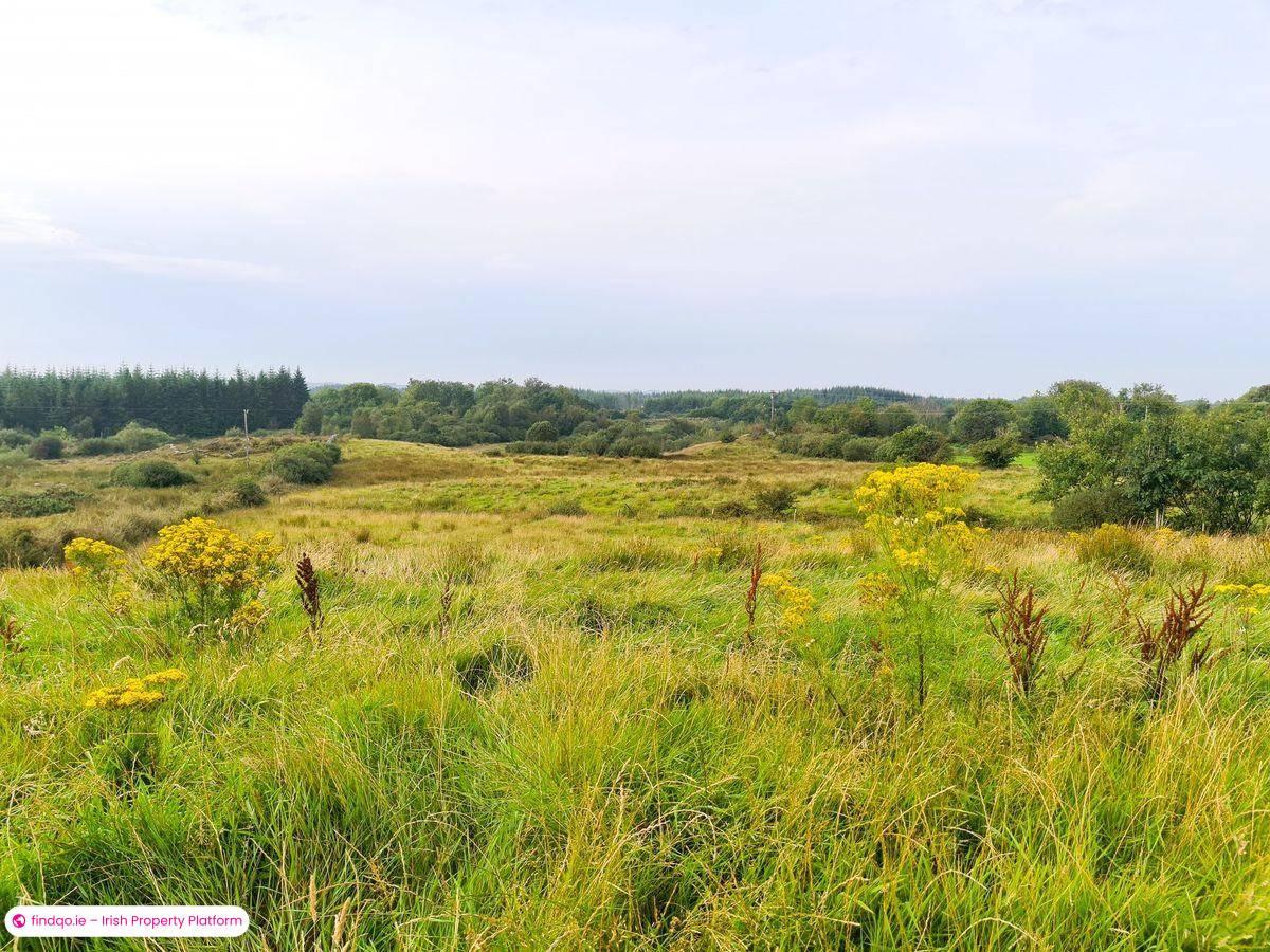 Detached house for Sale in Kilkelly, Mayo