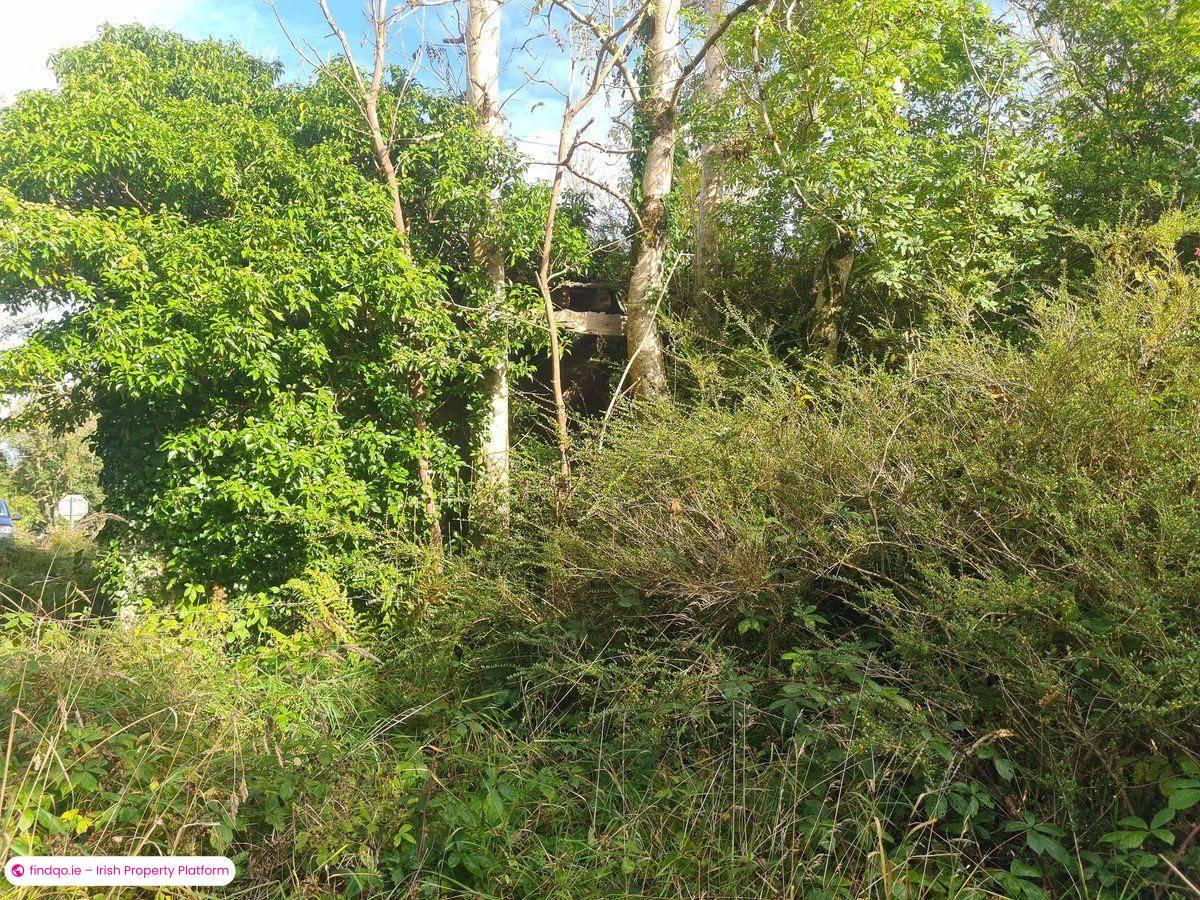 Site for Sale in Carracastle, Mayo