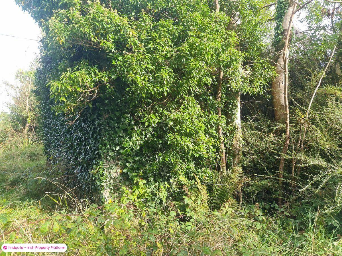 Site for Sale in Carracastle, Mayo