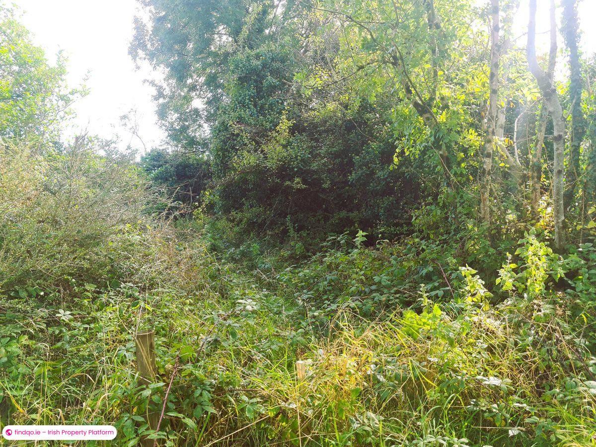 Site for Sale in Carracastle, Mayo