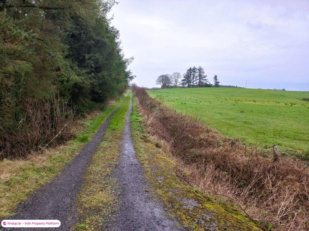 Detached house for Sale in Kilkelly, Mayo